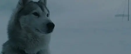 Eight Below (2006)