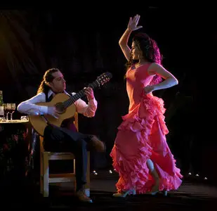 VA - Bolero Gypsies: New Flamenco (2CD) (2005-2006) [lossless]