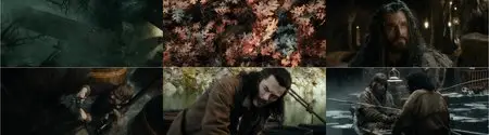The Hobbit: The Desolation of Smaug (2013)