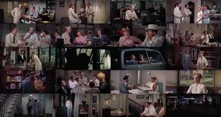 Some Came Running (1958)