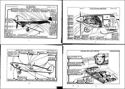Seafire inspection schedule