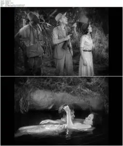 Tarzan the Ape Man (1932)