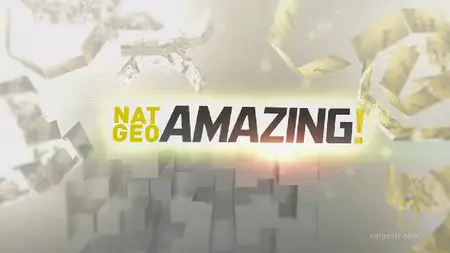 National Geographic - Nat Geo Amazing S01E07: Worlds Oldest Mummies And Lego Robots (2010)