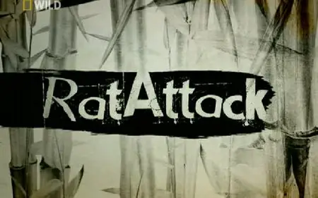 National Geographic - Wild: Rat Attack (2010)