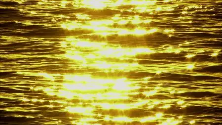 Virtual Trip - Utsukushi Wakusei: The Beautiful Planet (2010)