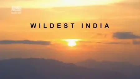 Discovery Channel - Wildest India (2012)