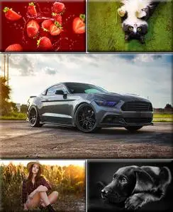 LIFEstyle News MiXture Images. Wallpapers Part (1809)