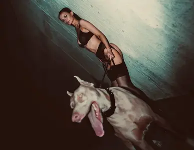 Alexis Reed by Ethan Snacks