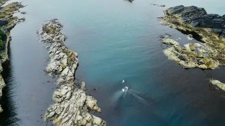 Wild Isles S01E01
