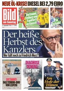 Bild am Sonntag - 13 September 2026