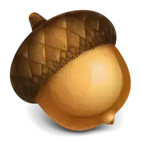Acorn 8.2.2