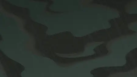 Rapunzel's Tangled Adventure S02E13