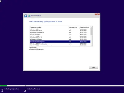 Windows 10 22H2 build 19045.4529 AIO 16in1 Multilingual (x64) Preactivated June 2024