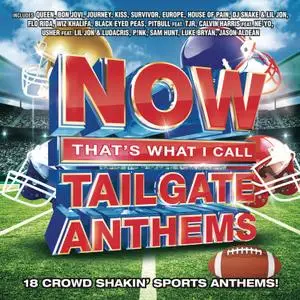 VA - NOW That's What I Call Tailgate Anthems (2017)