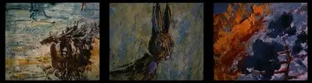 Animation Collection