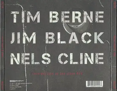 Tim Berne / Jim Black / Nels Cline - The Veil (2011) {Cryptogramophone}