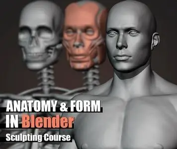 Anatomy and Form in Blender – Sculpting Course