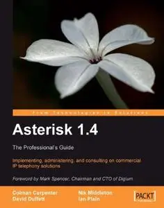 Asterisk 1.4 – the Professional’s Guide