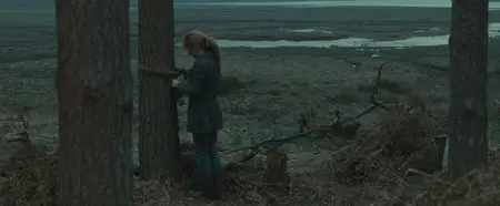 Harry Potter and the Deathly Hallows: Part I (2010)