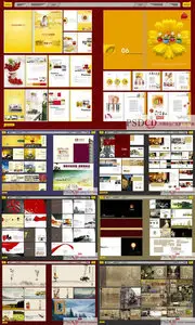 2011 PSD Brochures Source (DVD 2)