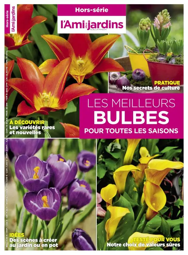 Des ami. Des ami. Des ami. Villars логотип. Des ami.