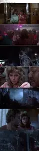 The Terminator (1984)