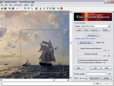 Cleanerzoomer Pro v3.6