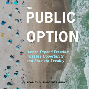 The Public Option [Audiobook]