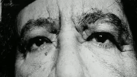 BBC Storyville - Mad Dog: Gaddafi's Secret World (2014)