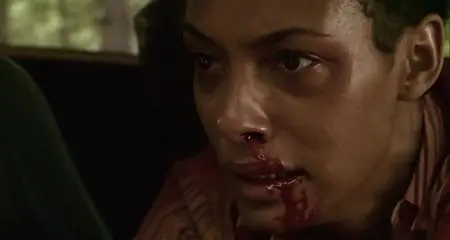 La noche de los girasoles / The Night of the Sunflowers (2006)