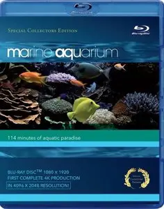 Marine Aquarium (2008)