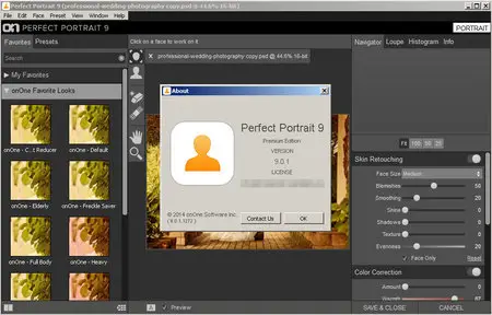 OnOne Perfect Portrait 9.0.1.1272 Premium