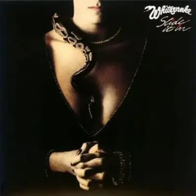 Whitesnake - Slide It In 24bit/192KHz Vinyl Rip
