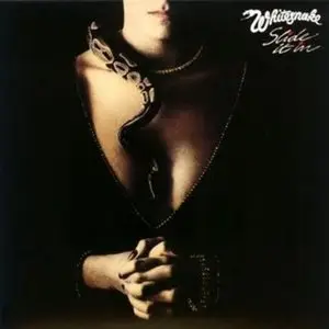 Whitesnake - Slide It In 24bit/192KHz Vinyl Rip