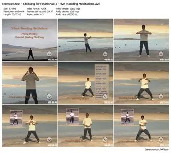 Terence Dunn - Chi Kung for Health Vol 1 - Five Standing Meditations