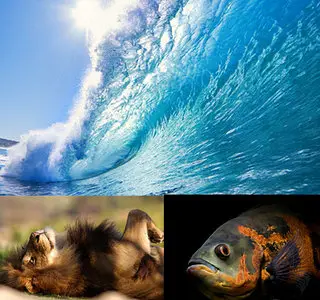 Best HD Wallpapers Pack №115-117 (repack)