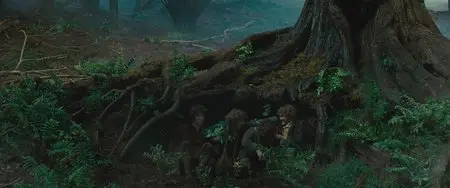 The Lord of the Rings: The Fellowship of the Ring (2001) [ReUp]