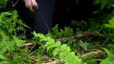 Alaskan Bush People S07E06