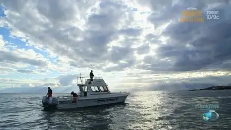 Shark Week - Air Jaws: Fin of Fury (2014)