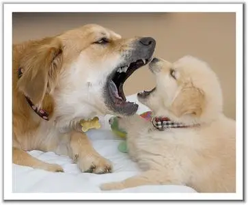 Фотографии разных авторов