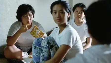 Ge ge de qing ren / Three Summers (1992)