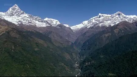 BBC Natural World - The Himalayas (2010)