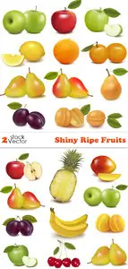 Vectors - Shiny Ripe Fruits