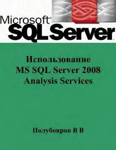 Использование MS SQL Server 2008 Analysis Services для построения хранилищ данных