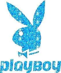 Playboy 1953 to 2004 Covers