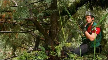 National Geographic - Explorer: Climbing Redwood Giants (2009)
