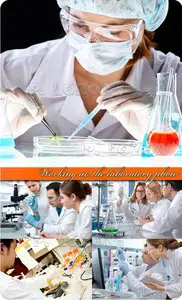 Working at the laboratory photo
