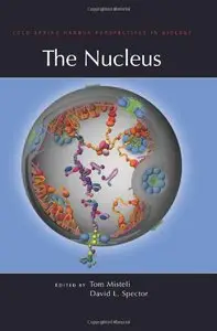 The Nucleus (repost)