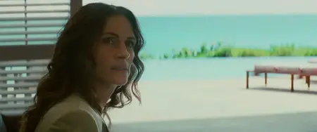 Duplicity (2009)