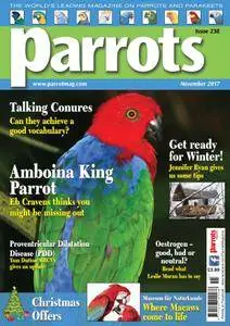 Parrots - November 2017